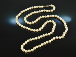 Around 1960! Fine Long Akoya Cultured Pearl Necklace...