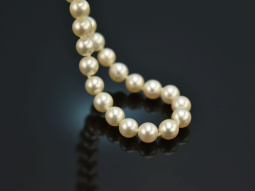 Around 1960! Fine Long Akoya Cultured Pearl Necklace...