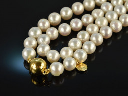 Big white Pearls! Long beautiful freshwater cultured...