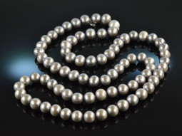Soft grey! Large long freshwater cultured pearls necklace...