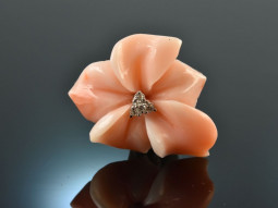 Around 1990! Noble angel skin coral brooch with diamonds...