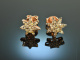 Twinkling Stars! Pretty star earrings cognac-coloured diamonds 0.4 ct rose gold 750