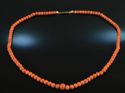 Italy around1880! Beautiful Sardegna coral necklace in...