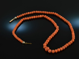 Italy around1880! Beautiful Sardegna coral necklace in...