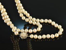 Around 1980! Noble Long Akoya Cultured Pearl Necklace...