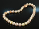 Shades of Rose! Large multicolor freshwater cultured pearls necklace silver rose gold plated