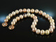 Shades of Rose! Large multicolor freshwater cultured pearls necklace silver rose gold plated