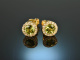 Shiny Green! Precious earrings with peridot and diamonds gold 750