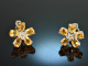 Sunflowers! Pretty Citrine Diamond Earrings White Gold 750