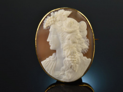 Around 1870! Fine shell gem cameo brooch with bacchante...