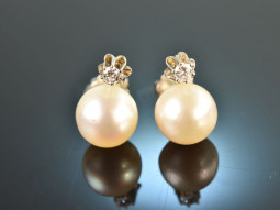 Around 1965! Classic cultured pearls diamond earrings...
