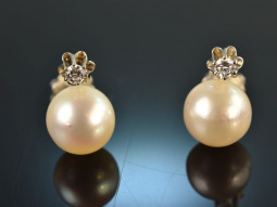 Around 1965! Classic cultured pearls diamond earrings...