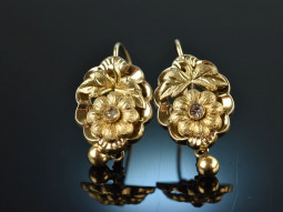 Um 1860! H&uuml;bsche Biedermeier Ohrringe Silber vergoldet