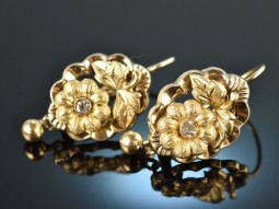 Around 1860! Pretty Biedermeier earrings silver gilded