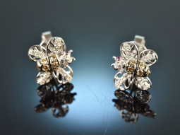 Tiny Bee! Delicate Bees Earrings with Diamonds White Gold...