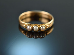 Around 1857! Fine ring with three oriental pearls gold 750