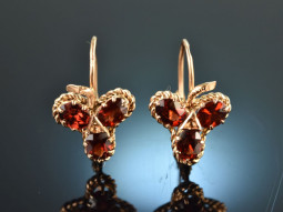 Graz around 1900! Pretty shamrock garnet earrings gold 585
