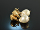 Big Drops! Baroque cultured pearls drop earrings silver 925 gold plated