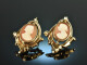 Around 1880! Beautiful Historism Cameo Earrings Gold 333