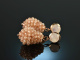 Glitter Nudes! Drop earrings moonstone champagne zircon silver 925 rose gold plated