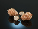 Glitter Nudes! Drop earrings moonstone champagne zircon silver 925 rose gold plated