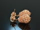 Glitter Nudes! Drop earrings moonstone champagne zircon silver 925 rose gold plated