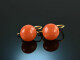 Around 1900! Fine coral bouton earrings gold 585