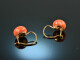 Around 1900! Fine coral bouton earrings gold 585