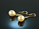 Classic drops! Earrings with freshwater cultured pearls gold 585