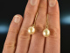 Classic drops! Earrings with freshwater cultured pearls gold 585