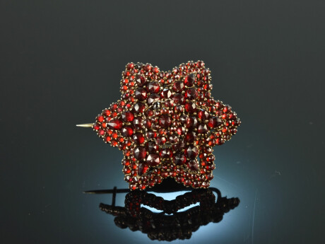 Around 1890! Sparkling star brooch with garnets metal gold plated