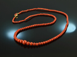 Italy around 1950! Finest red coral necklace gold 750