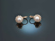 Classy Pearls! Ohrringe mit Zuchtperlen und Diamanten Ros&eacute; Gold 585