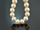 Long Pearls! Long large freshwater cultured pearls necklace silver 925 gold plated