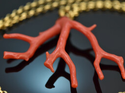 Boho Style! Large coral branch pendant with long chain...