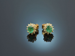 Classy Green! Smaragd Ohrringe mit Brillanten Gold 750
