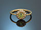 England um 1890! Viktorianischer Ring mit Saatperlen und Peridot Gold 15 ct