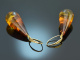 Big Amber! Large amber drop earrings silver 925 gold-plated