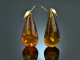 Big Amber! Large amber drop earrings gold-plated silver 925