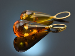 Big Amber! Large amber drop earrings gold-plated silver