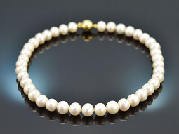 Beautiful white cultured pearl necklace with gold-plated silver clasp 925