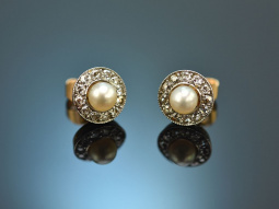 Around 1910! Antique earrings with natural pearls and diamonds in 750 gold