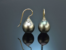 From our workshop! Drop earrings with Tahitian pearls in...