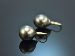 From our workshop! Drop earrings with Tahitian pearls in...