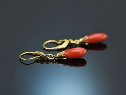 Around 1980! Drop earrings with Sardegna corals in 585 gold