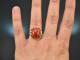 Around 1955! Beautiful ring with Italian coral in 585 gold