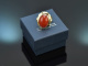 Munich around 1955! Large ring with fine Italian coral in 14k gold