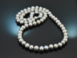 Big Grey! Long silver-grey cultured pearl necklace with...