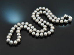 Big Grey! Long silver-grey cultured pearl necklace with...