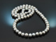 Big Grey! Long silver-grey cultured pearl necklace with 925 silver clasp